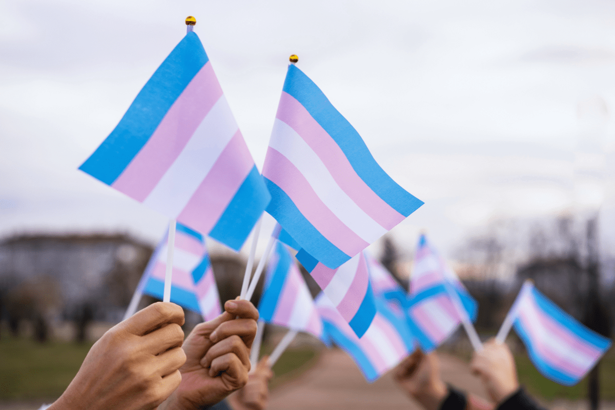 transgender awareness week celebration with flags